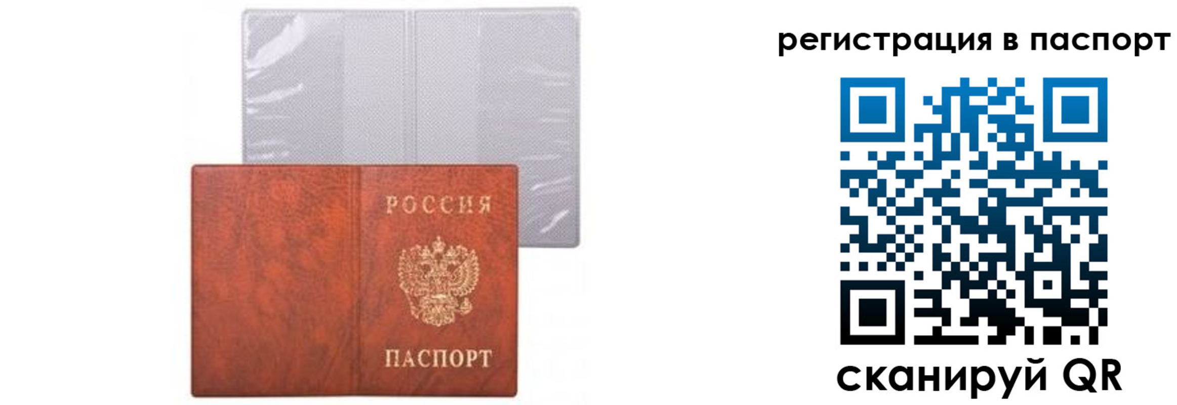прописка ребенка в Краснозаводске